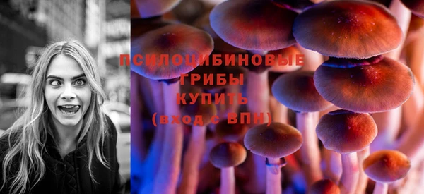 ПСИЛОЦИБИНОВЫЕ ГРИБЫ Арсеньев