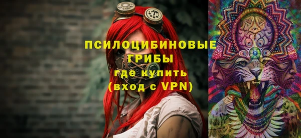 ПСИЛОЦИБИНОВЫЕ ГРИБЫ Арсеньев