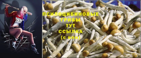 хмурый Армянск