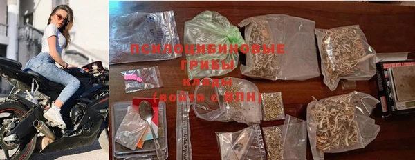 ПСИЛОЦИБИНОВЫЕ ГРИБЫ Арсеньев