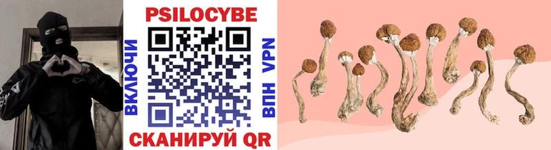 цены наркотик МЕГА ссылки Галлюциногенные грибы Psilocybine cubensis Таштагол